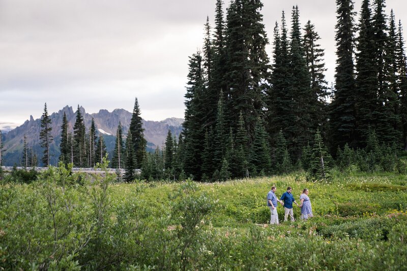 Tipsoo Lake Mount Rainier Family Photos