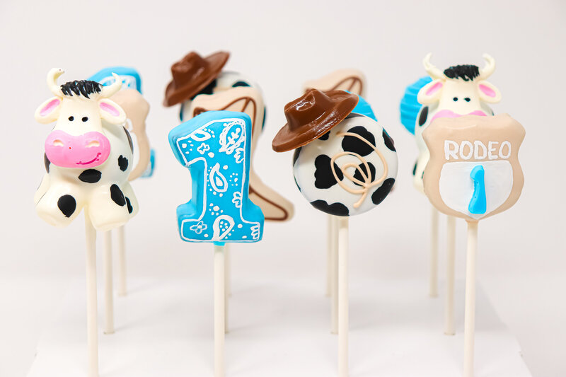 bakery - cakes - cake pops -north dakota -284