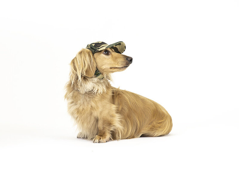 pet-product-photographer-example