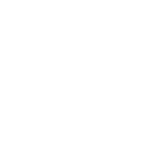 a modern logo for a western new york based photographer, dash and boheme photography.