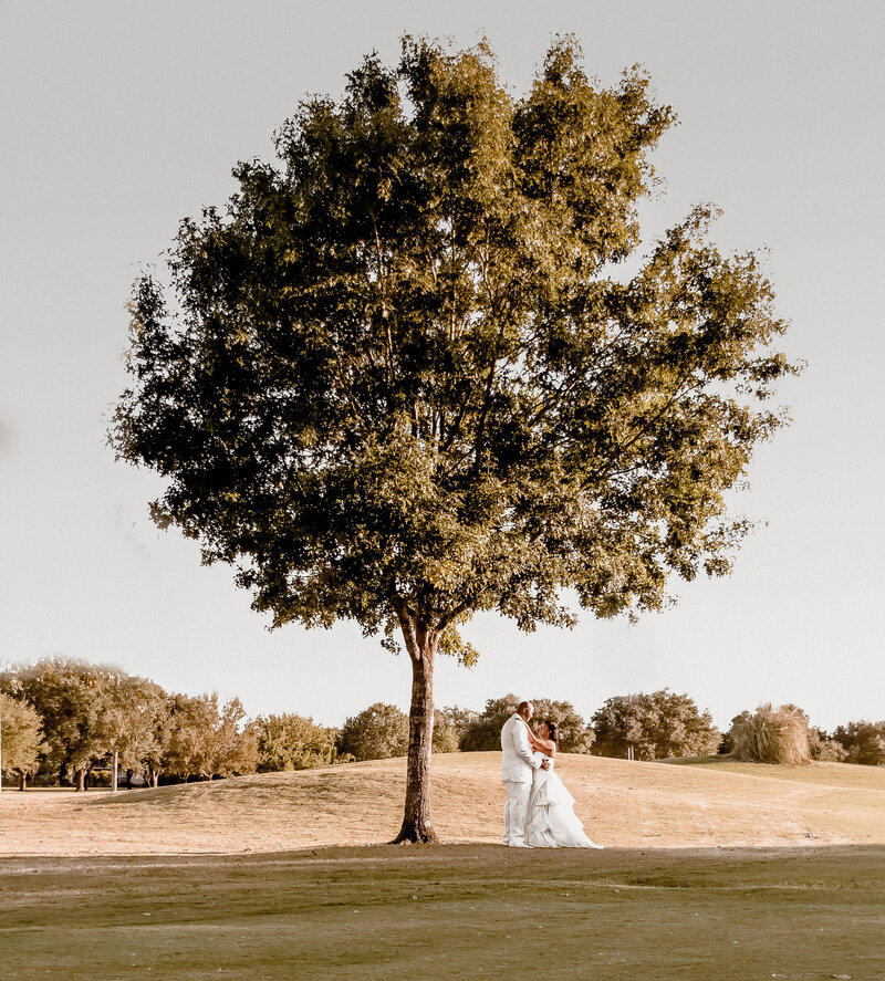 romantic african-american bride and groom under tree