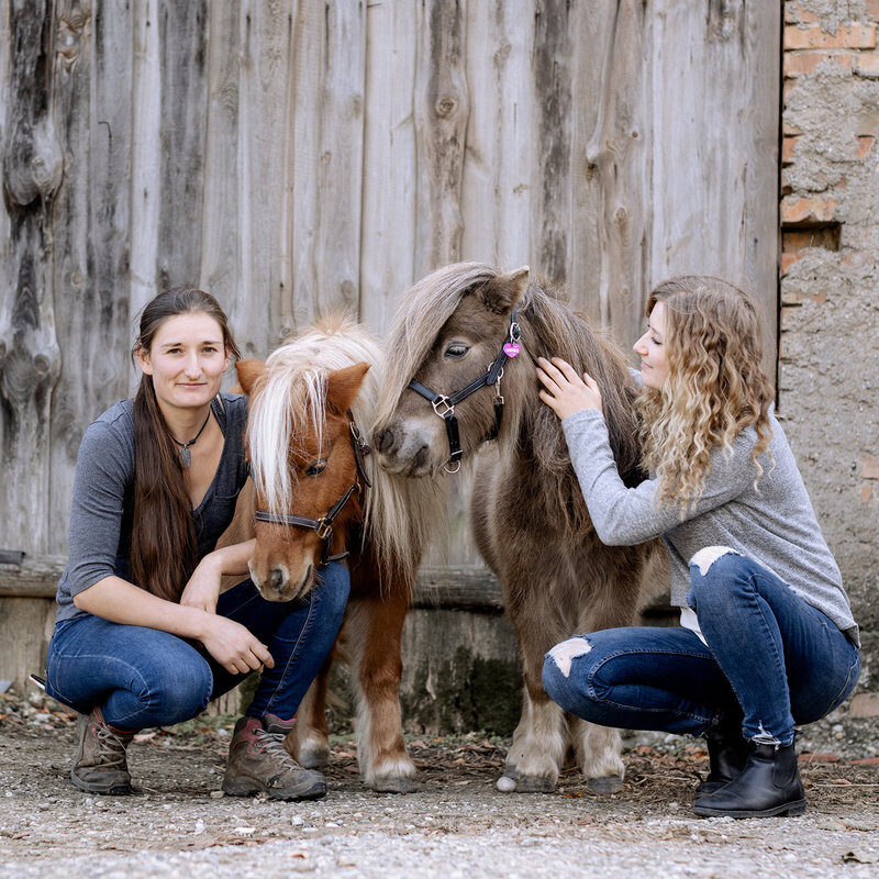 Pferde Wien reiten Angebot Fotograf Wien Niederösterreich Österreich professionell Pferdefoto AT9A9739-2_websize