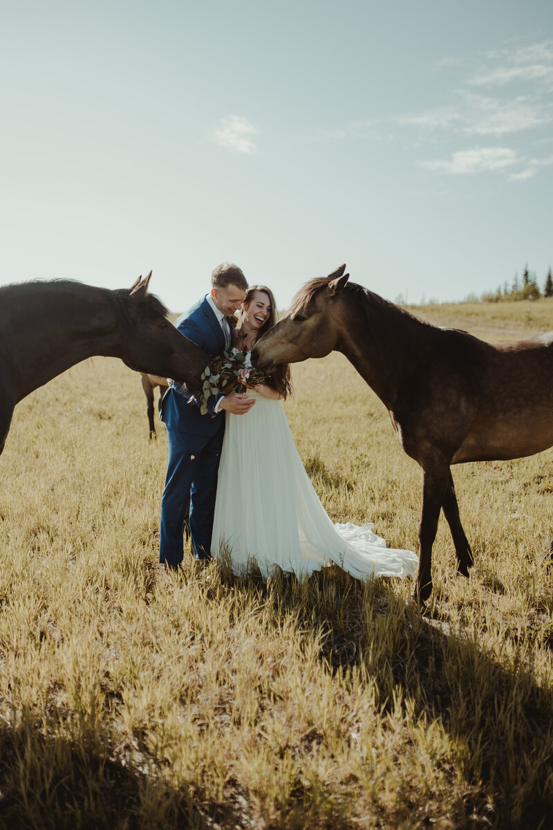 outdoor wedding photos with horses in alaska