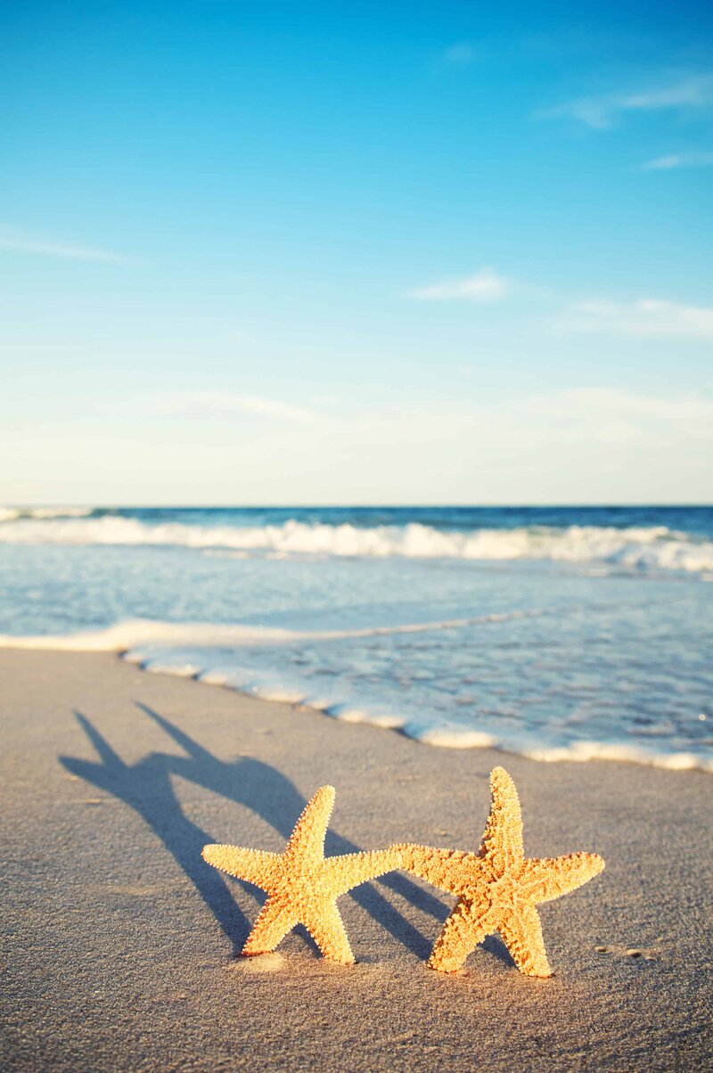 Two starfish on the sand by the ocean, reflecting the coastal, family-centered approach of Pacific Kids Occupational Therapy in Orange County.