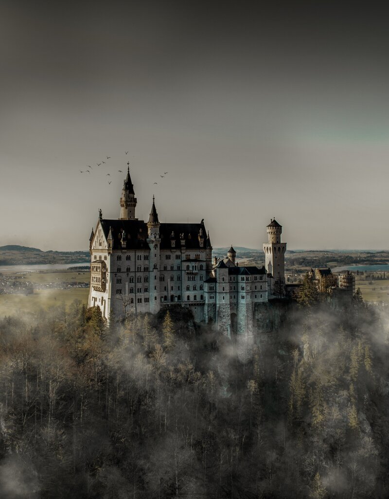 michael-baccin-NIlLZWI5lEw-unsplash