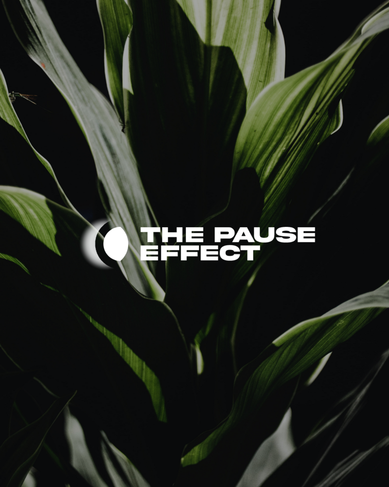 The Pause Effect - Branding-1