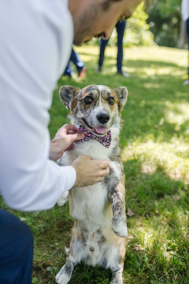 Bright Spring Wedding at Parmelee Farms in Killingworth, CT