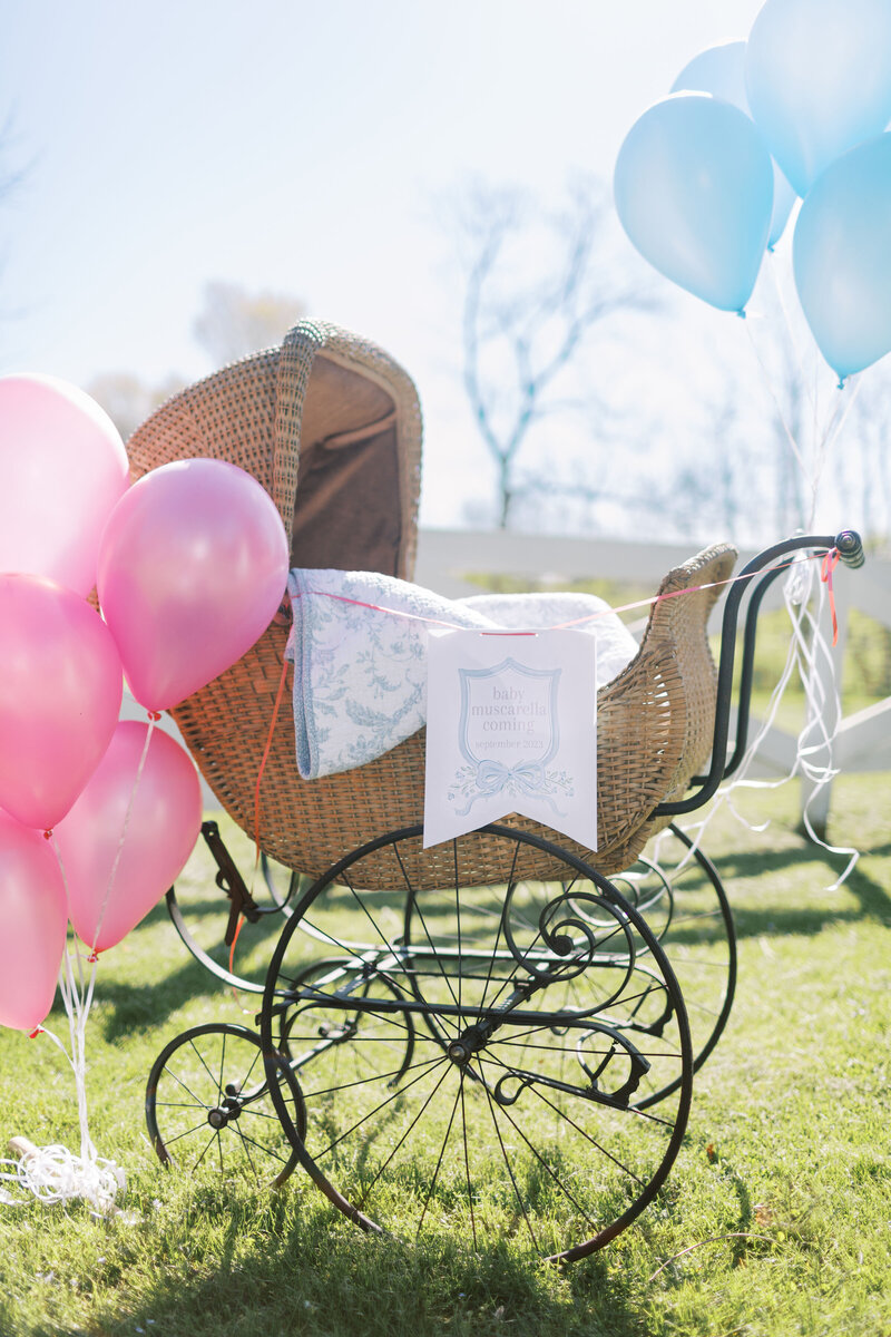 Baby_Muscarella_Number_Two15