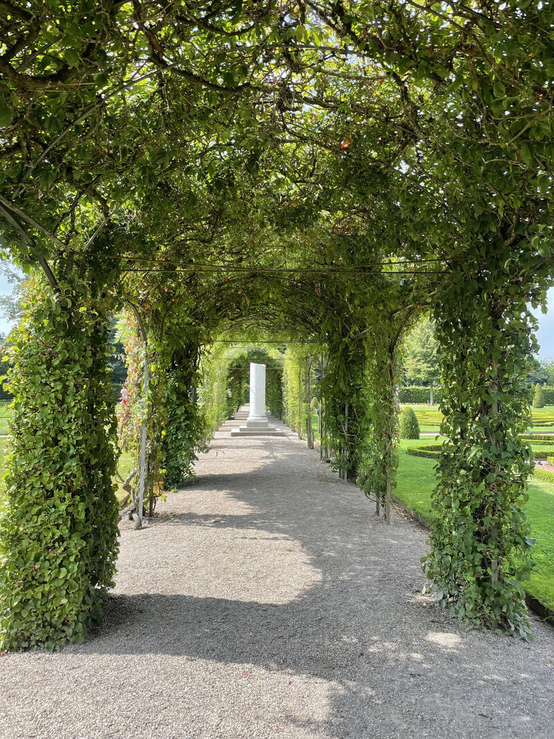 HW garden