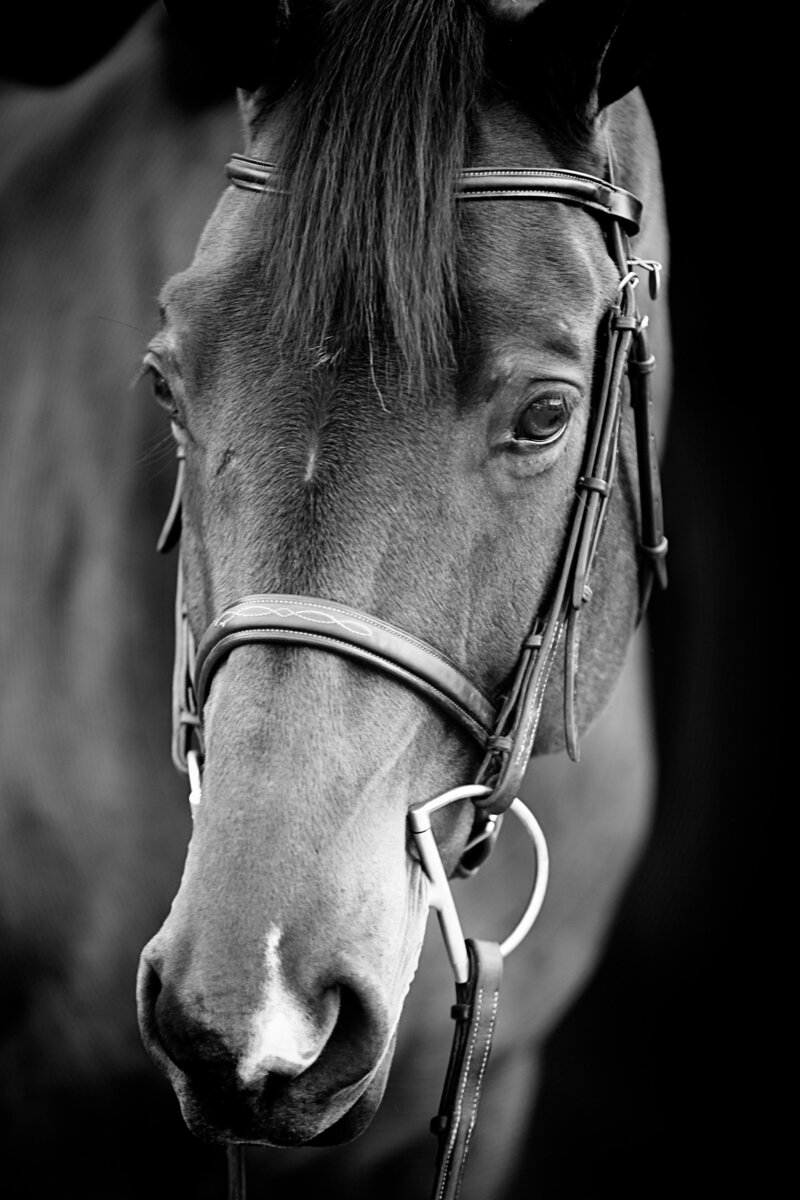 9-corporate-photography-orange-county-lauren-ford-photography.