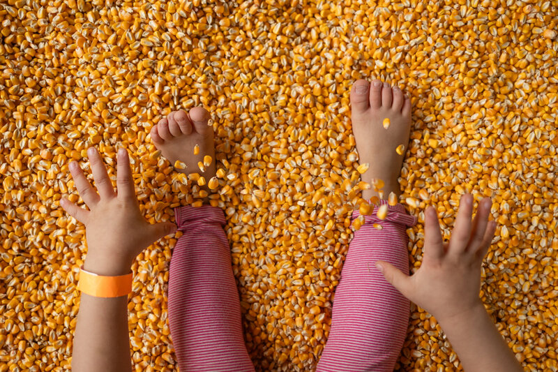 LightCreative_202310_RaleighPumpkinPatchPhotoSession_003