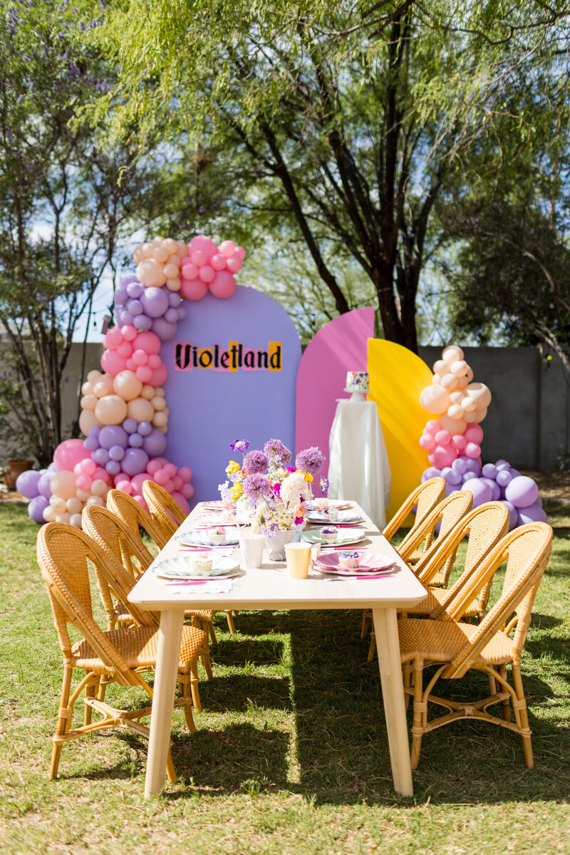 Picnic parties with amazing balloons for kids