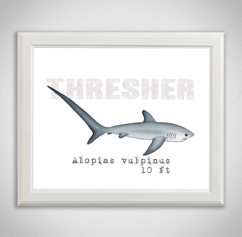 thresher-framed