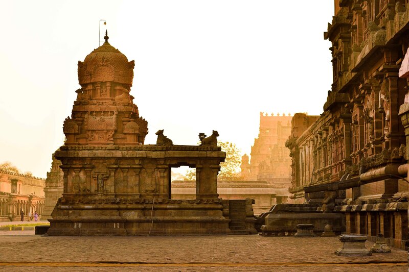 Voyage | Retraite Yoga | Ayurvéda en Inde du Sud, Tamil Nadu