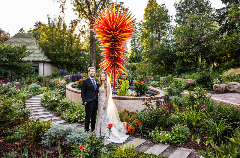 Chihuly Sculpture backdrop for a wedding photo in the Oval Garden at Denver Botanic Gardens