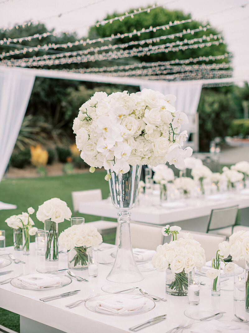 ericastreelman_jenesa and avi-413