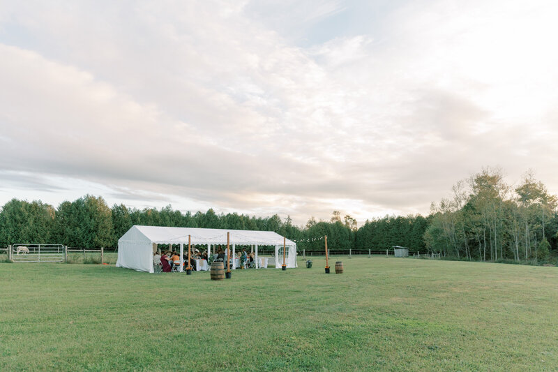 Chris_Ashley_Reception-43