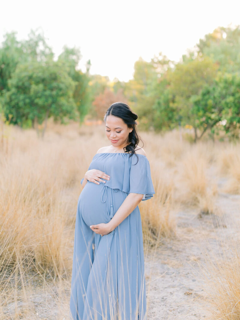 A woman in a flowing blue dress stands in a field of golden grass, gently cradling her pregnant belly. The scene is serene, with lush greenery in the background.