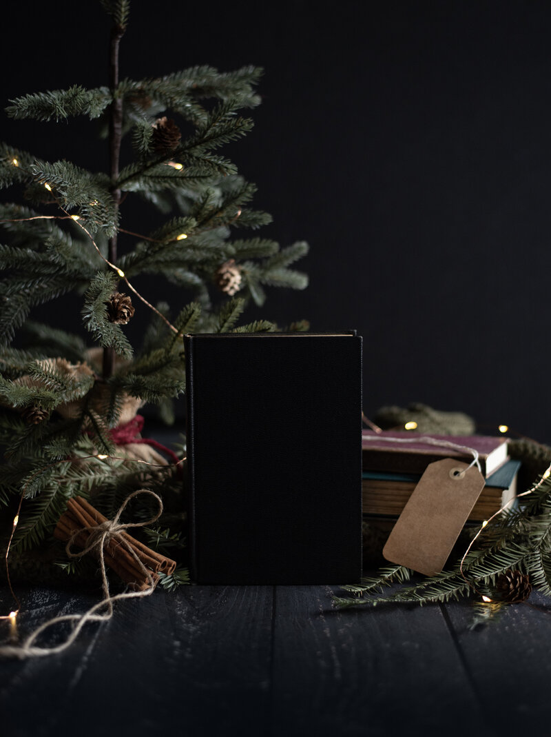 TWW-ModernBookishXmas-MWarthen06