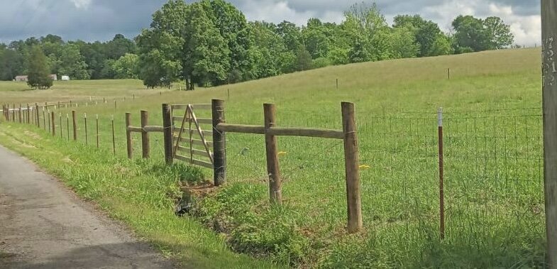 fence 1
