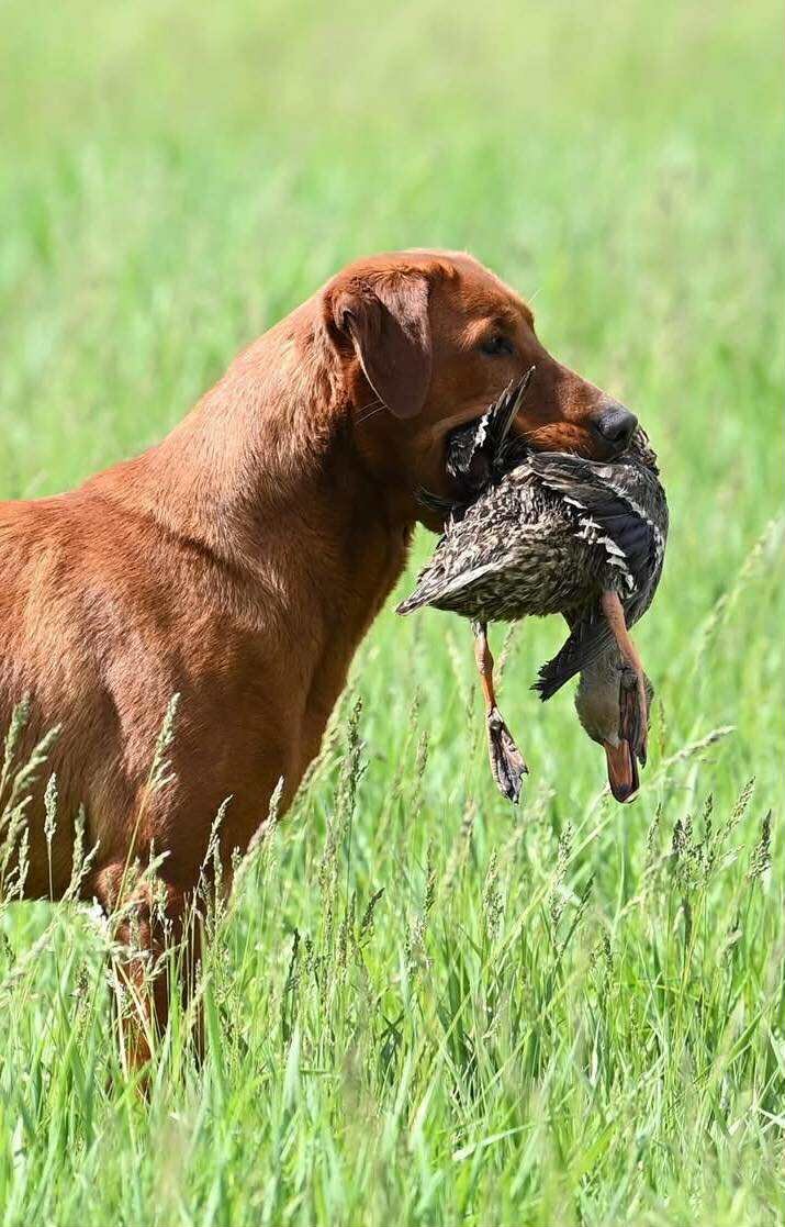 att.coLLFkZ3jLLNWw9DUvQwOgPwxJLpAAjGni8z95e7FEM