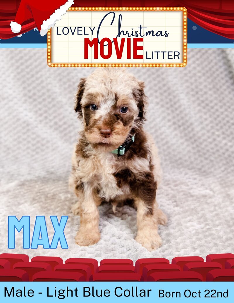 Christmas Movie - Light Blue Max Male