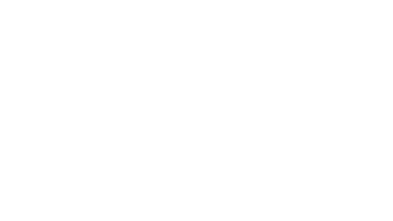 The Social Stager logo
