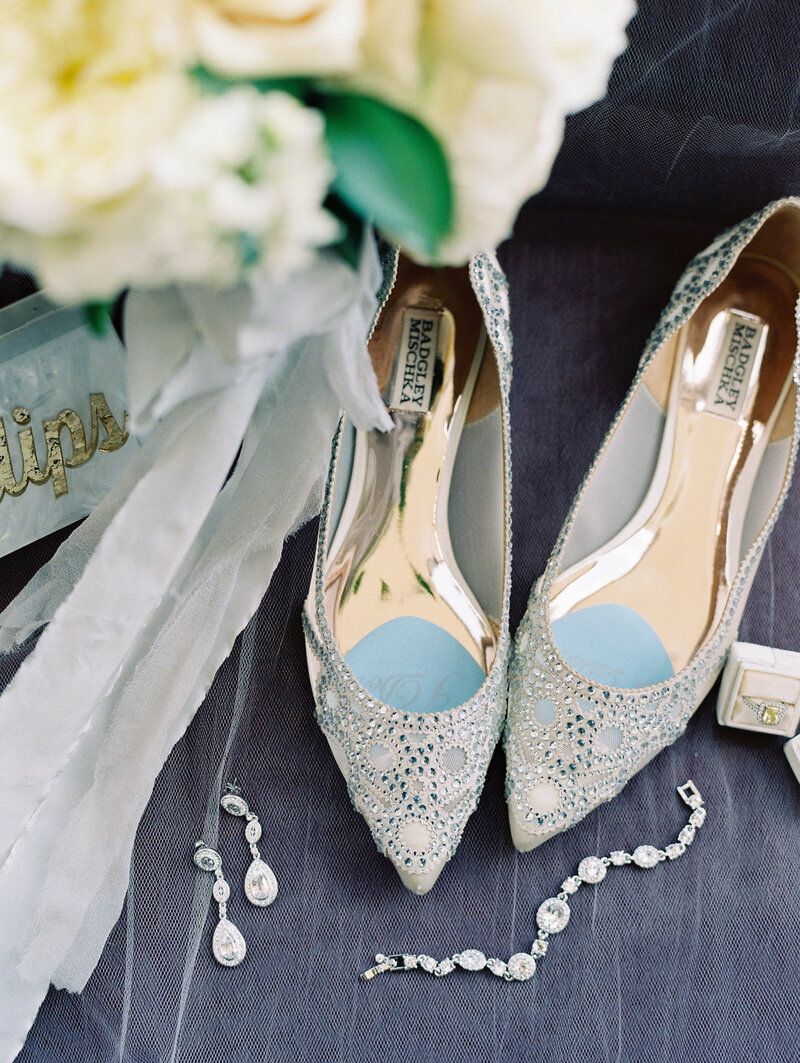 Bridal Jewelry and Shoes