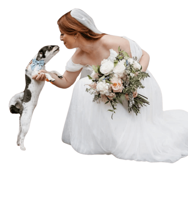 wedding photographer reviews