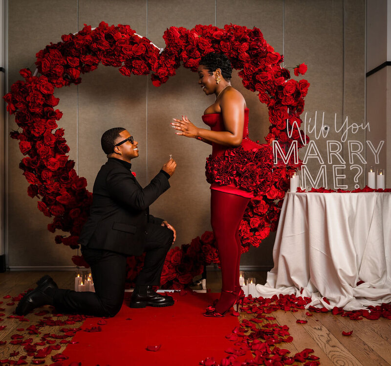 dc-proposal (4)