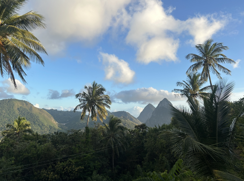 Screenshot 2025-11-07 at 7.15.14 PM