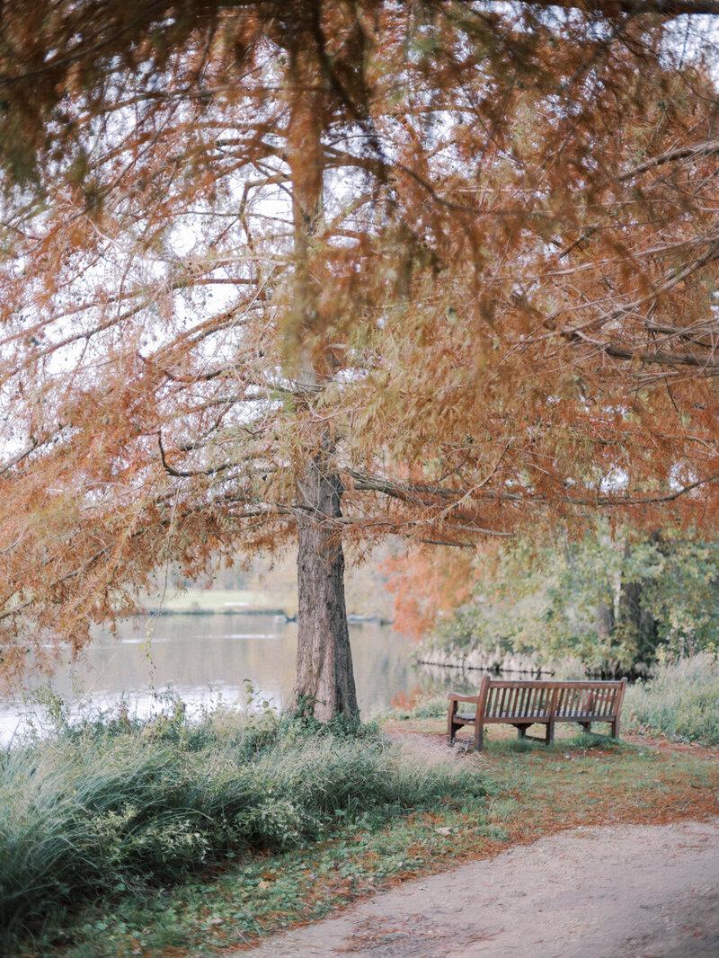Family Photographer-HD-139