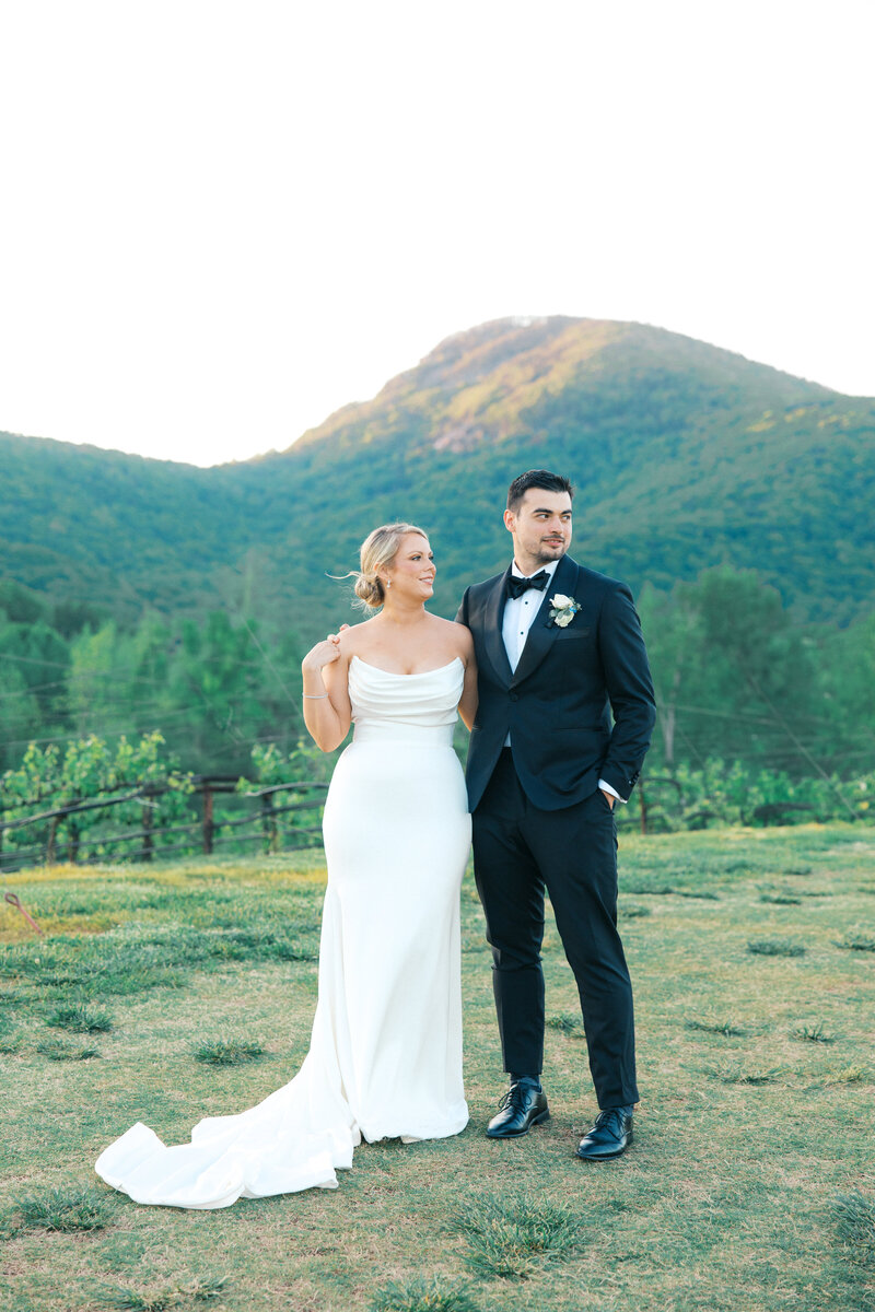 Bride and Groom stare off into the distance during sunset photos with blue green mountains in the background