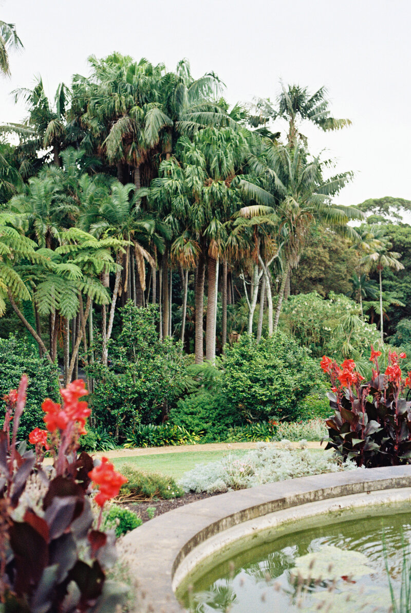 Estate Vaucluse House Sydney Garden Wedding Venue Editorial Destination Wedding Photographer Sheri McMahon-65