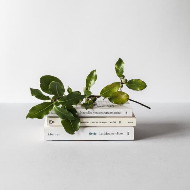 flat lay of notebook, laptop, and coffee cup representing clarity in online course creation