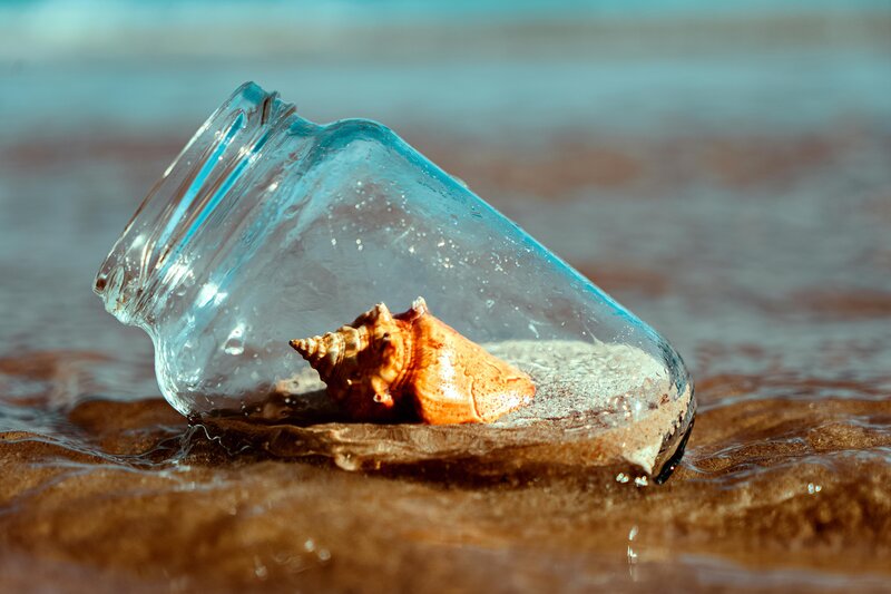 Image of a shell in a jar washed up on a beach