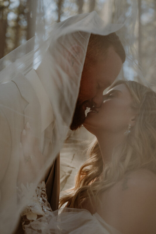 yosemite elopement photographer -bride and groom kissing under veil in yosemite