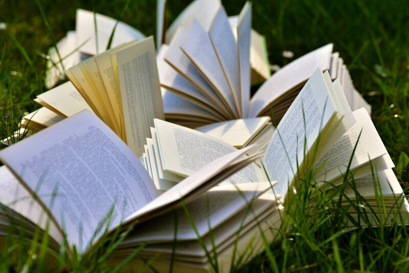 an inset image of books lying face open in a grassy field