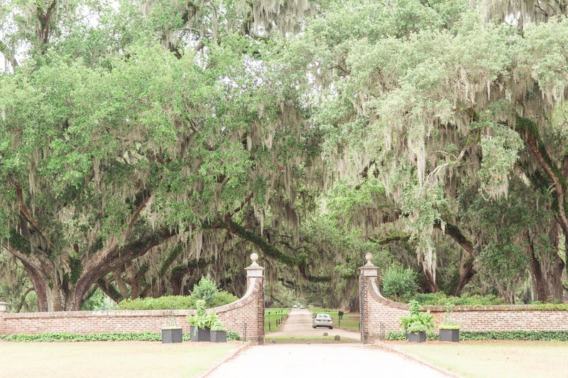 boone-hall-plantation-charleston-sc-photography-36
