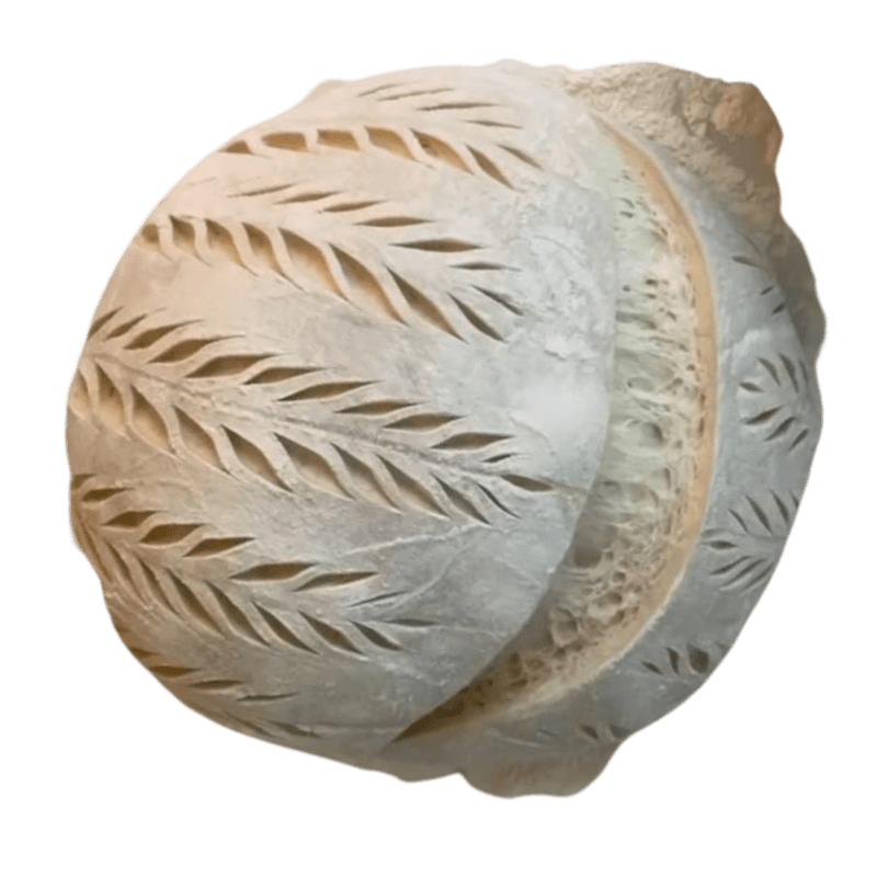 a loaf of sourdough bread with a moon shaped design on top