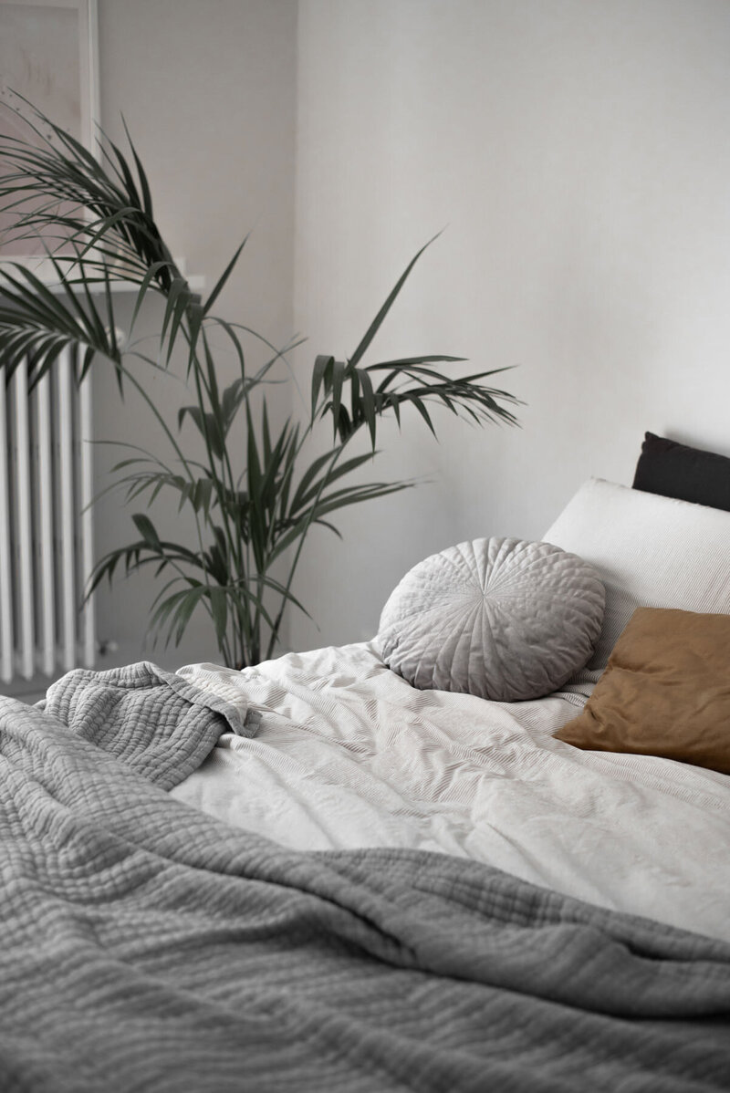 view of bedroom and plant