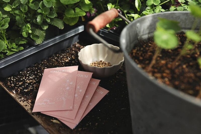 Seed Envelope Design for Flower Farm by Ethos + bloom Creative