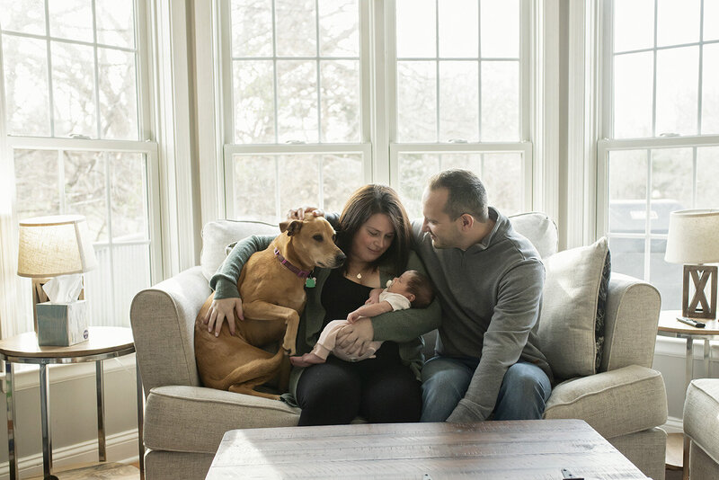 Joyful Mama Connecticut Newborn Photography