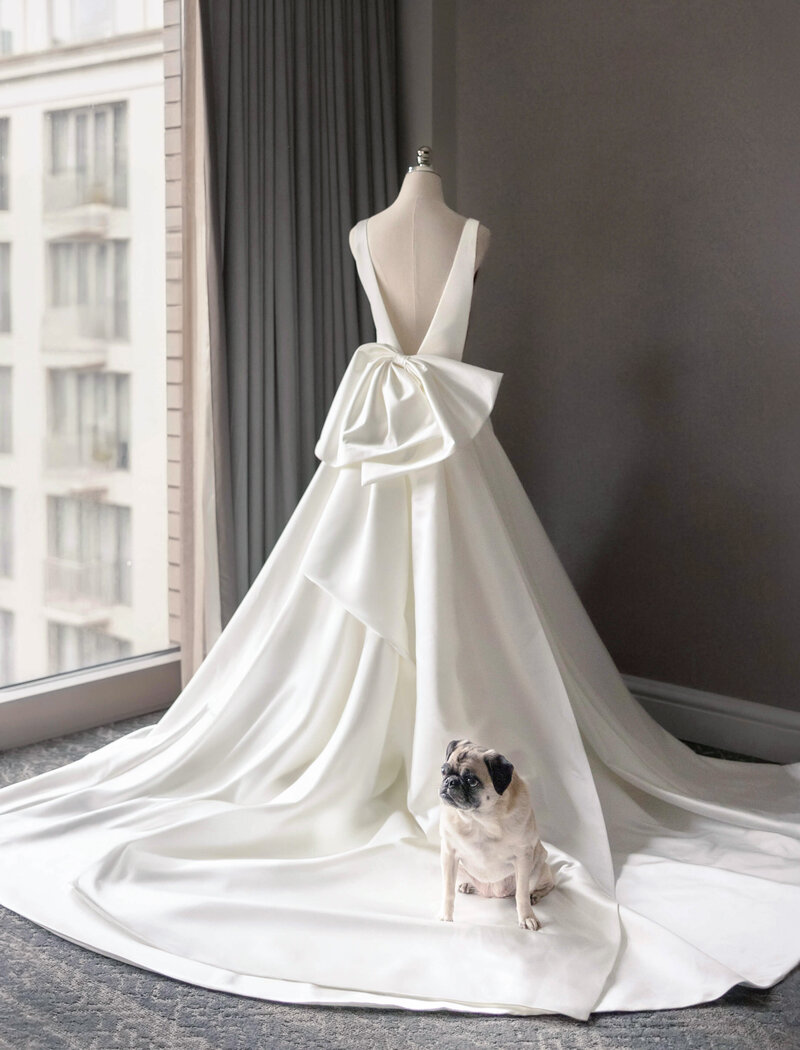 A cream-colored wedding dress with a large bow on a mannequin stands next to a window. A pug sits on the train of the dress, looking to the side, with city buildings visible through the window.
