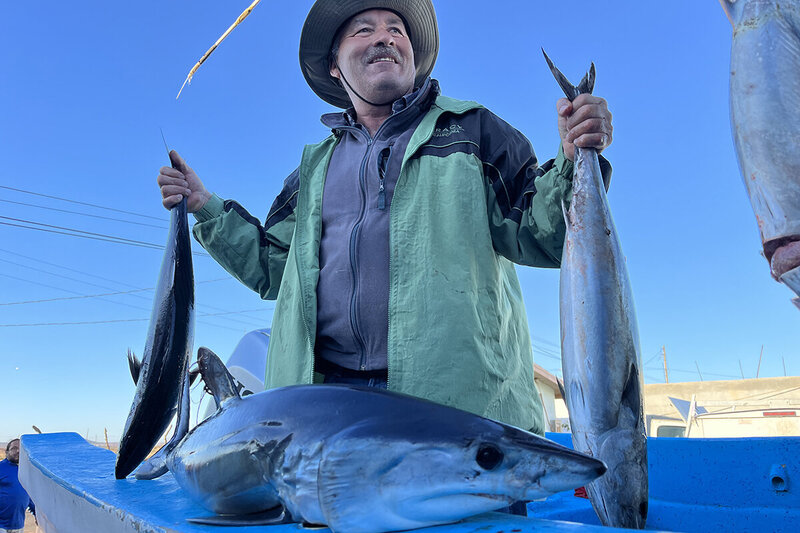 adventurevantripsinsandiegofishing14