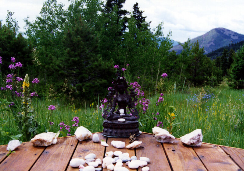 Wild flowers and Aspen trees welcome Naturopathy students in Boulder, Colorado