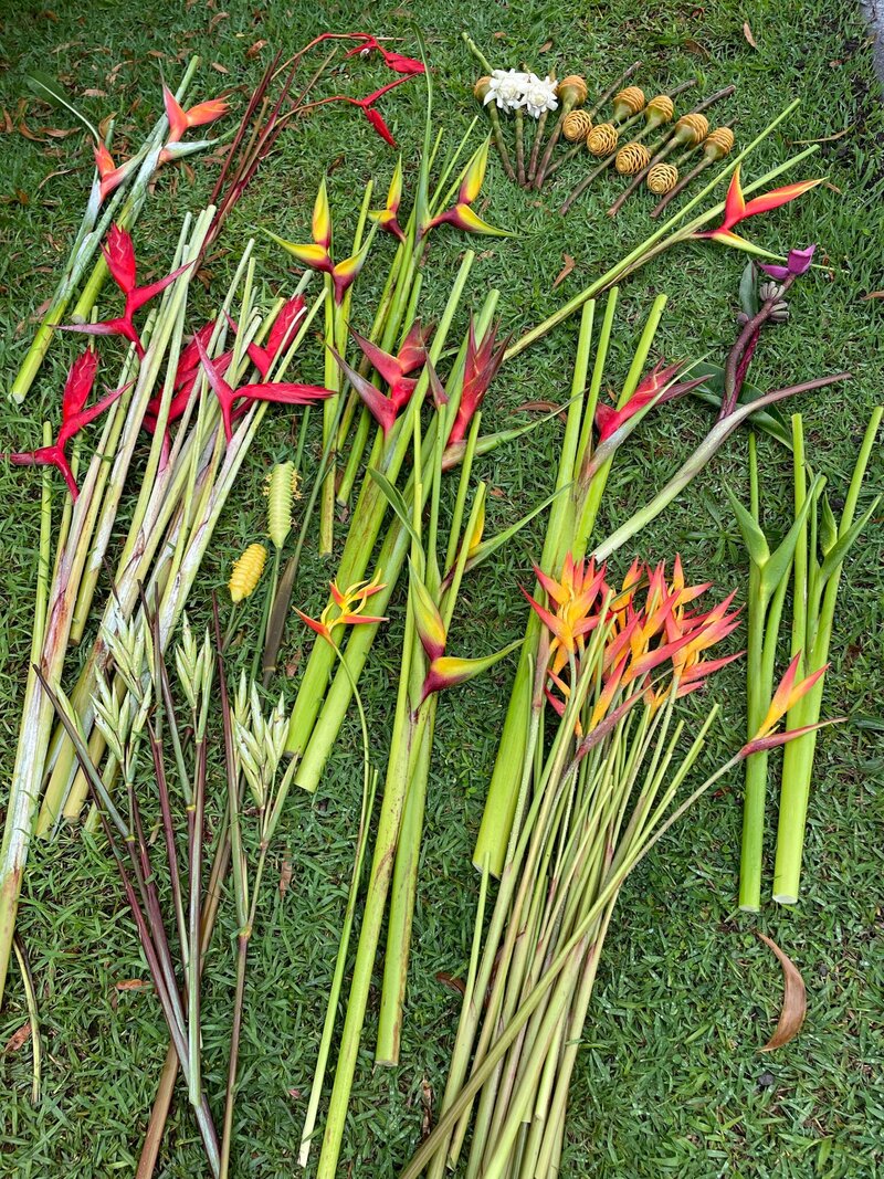 Tropical flower harvest