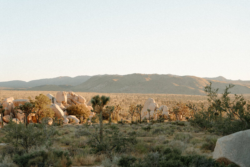 A couple standing on a boulder in Joshua Tree National Park celebrating their engagement.