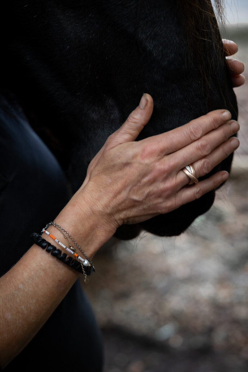 Tijdens reiki sessie voor paarden zorgt Monique dat blokkades verdwijnen.