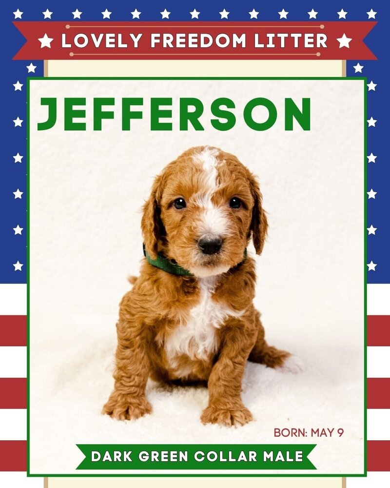 Freedom - Dk Green Jefferson Male